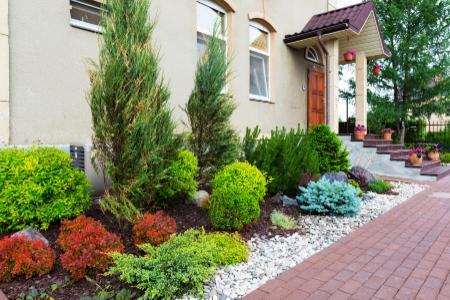 Creative Landscape Ideas to Transform Your Outdoor Space