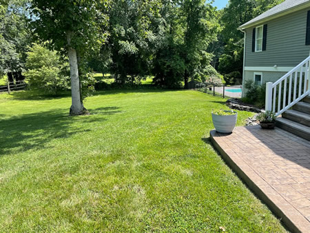 How Regular Lawn Mowing Improves Your Yard’s Health