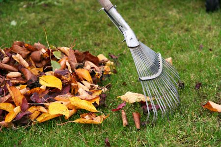 Seasonal Yard Clean Up in Virginia: Why It Matters Year-Round