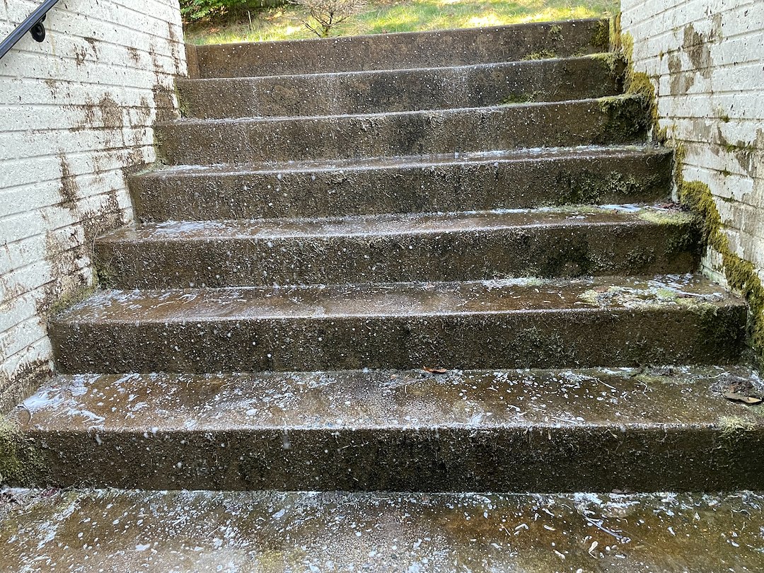 House Washing and Concrete Cleaning in the Saint George Community of Stafford 