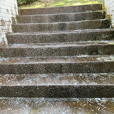 House-Washing-and-Concrete-Cleaning-in-the-Saint-George-Community-of-Stafford 6