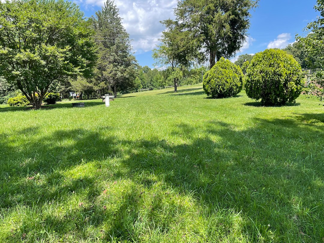 Professional Stafford Lawn Care Services Transform Overgrown Properties