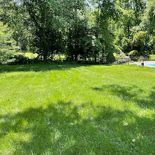 Professional-Stafford-Lawn-Care-Services-Transform-Overgrown-Properties 1