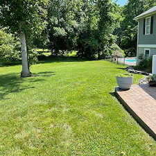 Professional-Stafford-Lawn-Care-Services-Transform-Overgrown-Properties 0