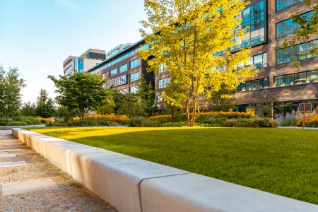 Commercial Lawn Care